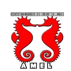 Association Mahoraise des Étudiants de Limoges (AMEL) LIMOGES